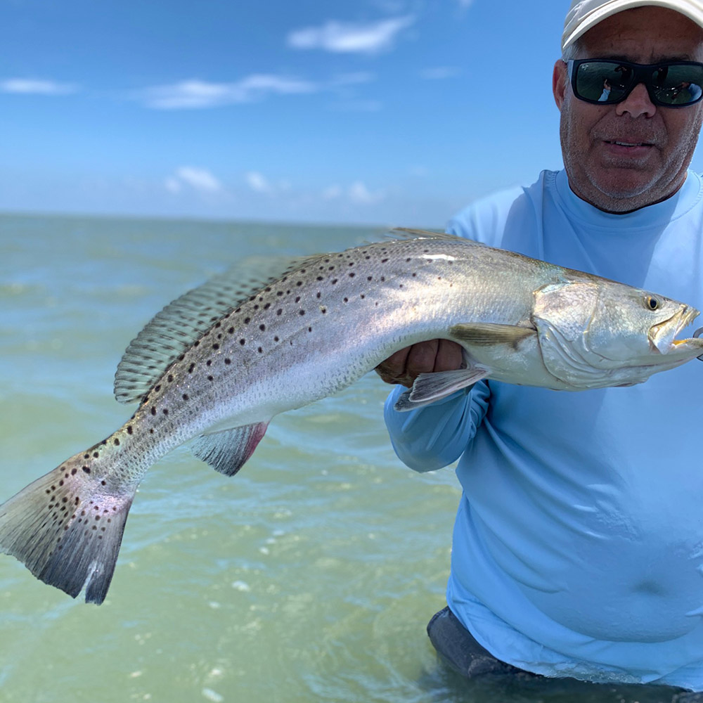 Wreck Em Out Doors Trophy Trout