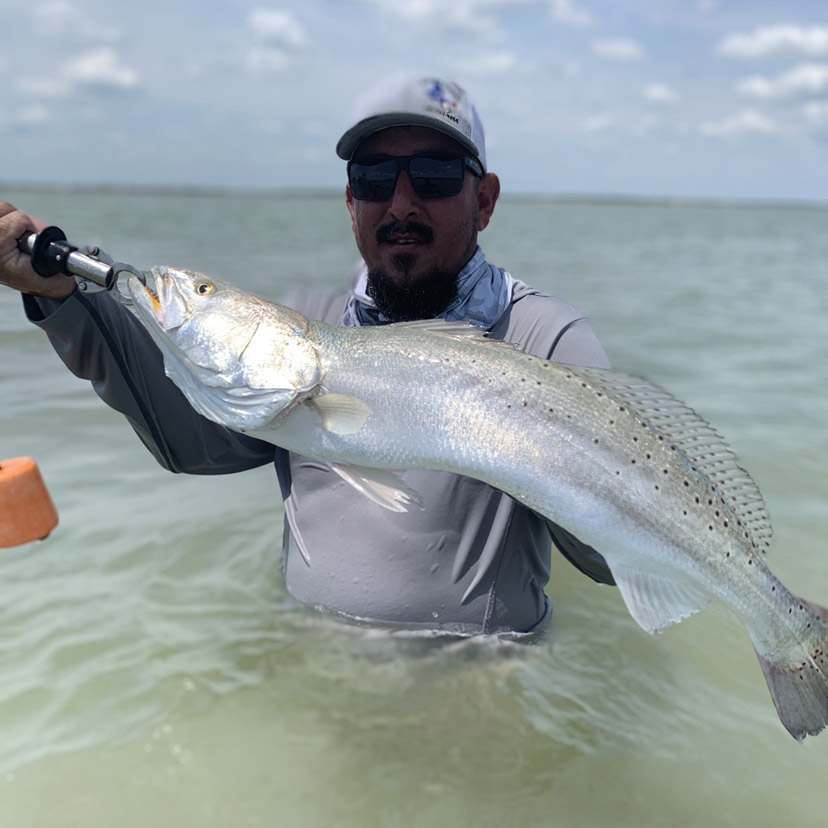 Wreck Em Out Doors Trophy Trout